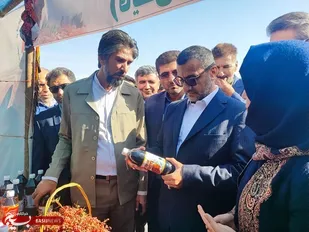 حرکت رو به رشد کشاورزی در سربیشه