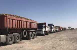 حمل ۱۳۳ هزارتن محصول چغندر از مبدأ خوزستان توسط رانندگان قزوین