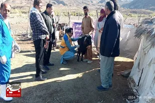 برگزاری رزمایش جهادی دامپزشکی در شهرستان&zwnj;های فنوج، نیکشهر و قصرقند