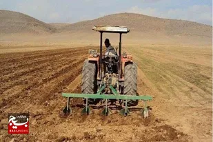 طرح جهش تولید در ۳۶۰ هکتار از دیمزارهای استان اردبیل اجرا می&zwnj;شود
