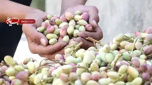 زوج روستایی لرستان که از دل خشک&zwnj;سالی، امید و خودکفایی رقم زدند