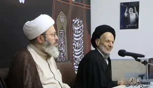 گسترش بیداری اسلامی در همایش پیاده&zwnj;روی اربعین حسینی (ع)