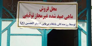 ماهی&zwnj;های توقیف شده صید ترال بین نیازمندان "دیری" توزیع شد