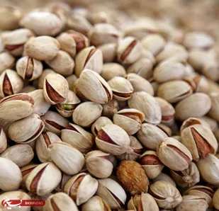 تولید ۹۰ تن پسته در ایلام