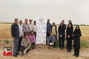 اجرای طرح انتخاب مشارکتی ارقام PVS  در شهرستان سرخه