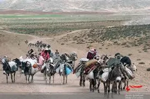 جلسه مشترک بسیج عشایری و بسیج سازندگی استان