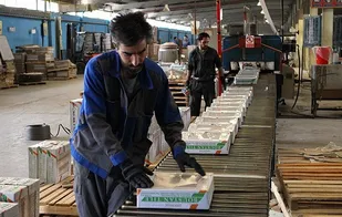 طرح دوفوریتی حمایت ازکارخانه ها؛ نگرانی بیمه شدگان