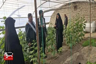 بازدید فرمانده ناحیه مقاومت بسیج هامون از طرح اشتغال&zwnj;آفرینی گلخانه&zwnj;ای پایگاه حضرت سکینه(س)