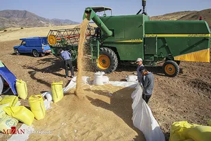 اردبیلی&zwnj;ها با پرداخت زکات مشکل ۵۳۲۰ نیازمند را رفع کردند