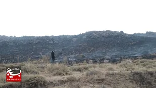 آتش&zwnj;سوزی مراتع تالاب نئور مهار شد