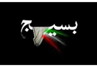 دولت اعتقادی به استفاده از نیروی مردمی بسیج در اقتصاد مقاومتی ندارد