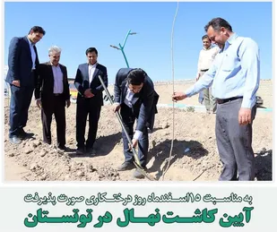 آیین کاشت نهال در توتستان مهریز