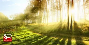 هوای استان اردبیل گرم می&zwnj;شود