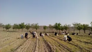 قدر نان حلال درآوردن را در اردوی جهادی به خوبی می فهمیم+تصاویر