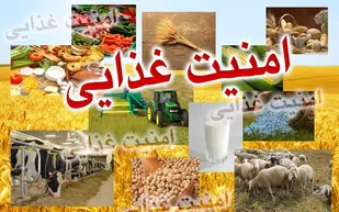 افزایش عملکرد گندم علیرغم کاهش سطح زیرکشت در استان فارس