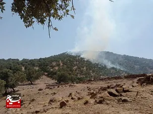 عامل آتش&zwnj;سوزی در منطقه حفاظت شده شیمبار دستگیر شد