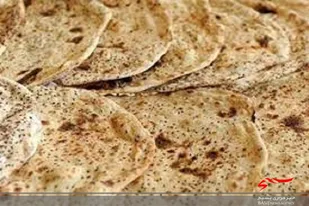 بسیج عشایری تا ریشه کنی ویروس کرونا در میان حضور دارد