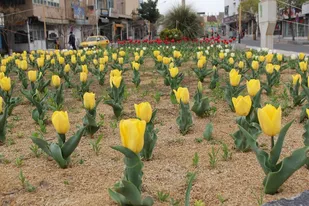 مرکز خراسان جنوبی آماده استقبال از مهمانان و مسافران نوروزی