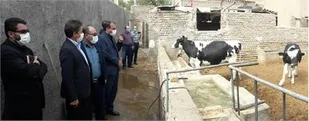 افتتاح پنج طرح اشتغال زایی ویژه مددجویان کمیته امداد ساکن مناطق روستایی تهران