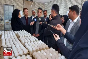 احداث ۲۰ واحد جدید مرغداری در شهرستان زاهدان