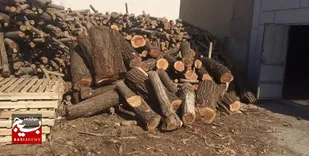کشف 20 تُن انواع چوب غیرمجاز در دشت آزادگان