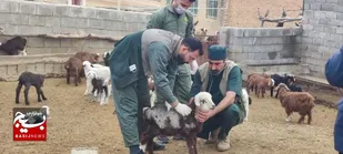 حضور تیم جهادی دامپزشکی همزمان با هفته بسیج