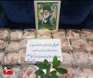 توزیع بسته&zwnj;های پروتئینی در قم