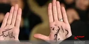 گلایه دانشجویان از پاسخگو نبودن مدیران کل/ وضع فعلی بازار محصول انفعال نهاد ناظر