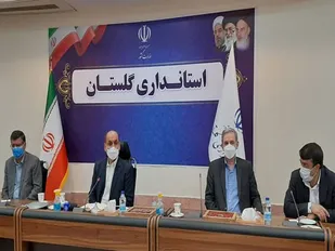 گلستان معین تامین مرغ پایتخت / تامین 35 درصد بازار بزرگ مصرف مرغ کشور توسط استان