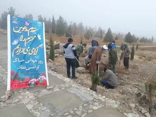 نهال کاری در منطقه تفرجگاهی چشمه تامهر تفت