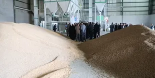 بهره برداری کارخانه خوراک دام و طیور آبدانان