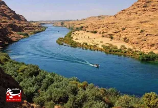 زیبایی بهار خوزستان در  شهیون دزفول