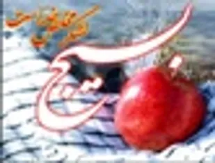 پاسخ صدام در ناتواني خود در تصرف خاك ايران