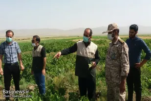 اردوی جهادی کانون بسیج مهندسین کشاورزی سپاه ملایر