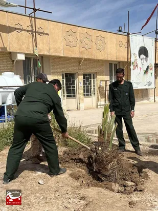 &nbsp;

۱۲ نهال خرما در اردوگاه صاحب الامر(عج) استان قزوین در خرمشهر غرس شد