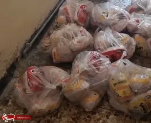 توزیع ۱۰۰ قطعه مرغ بین نیازمندان رامشیر در رزمایش &laquo;همدل&raquo;