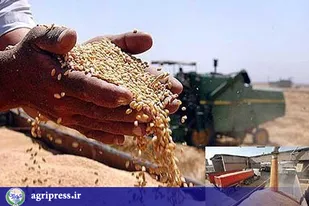 ۶میلیون و ۲۰۰ هزار هکتار زمین منتظر تصمیم کبرای دولت!