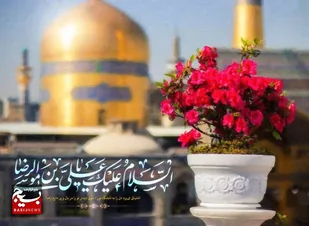امام رضا(ع) نرمش قهرمانانه در برابر حکومت طاغوت داشت