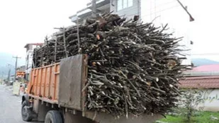 کشف ۲ تن چوب قاچاق به ارزش چهار میلیارد ریال در کویر دامغان