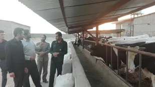 بازدید فرمانده سپاه قهاوند از طرح&zwnj;های اقتصاد مقاومتی روستای دشته
