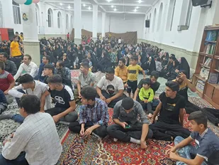 اقدامات حوزه های مقاومت سپاه ناحیه استان ایلام