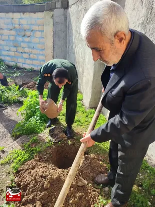 کاشت۲۰نهال مثمر به مناسبت دهه فجر درگتوند