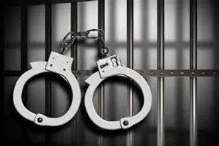 دستگیری ۲۵ نفر از اراذل و اوباش در تبریز