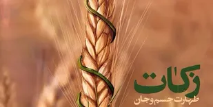 ۱۱ میلیارد و ۴۰۰ میلیون تومان زکات از مردم ایلام جمع آوری شد