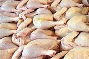 توزیع ۲۰ تن گوشت مرغ بین خانواده&zwnj;های نیازمند در مراغه