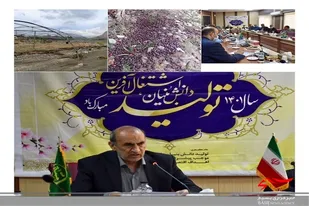 ٧٠٠ میلیارد تومان برآورد اولیه خسارت سیلاب سامانه مونسون به بخش کشاورزی سیستان وبلوچستان