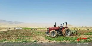 100هکتار از اراضی کرمانشاه طی 2 ماه به ویلا و باغ تبدیل شده است