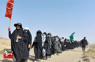 تشرف ۴۱۲ هزار و ۹۵۲ زائر پیاده در دهه پایانی ماه صفر به مشهدالرضا