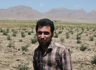 بسیج سازندگی دری از تولید را پیش روی من گشود