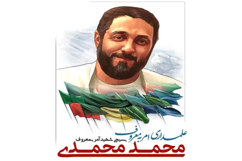 فیلم/ شاهدان عینی از شهادت محمد محمدی می‌گویند...